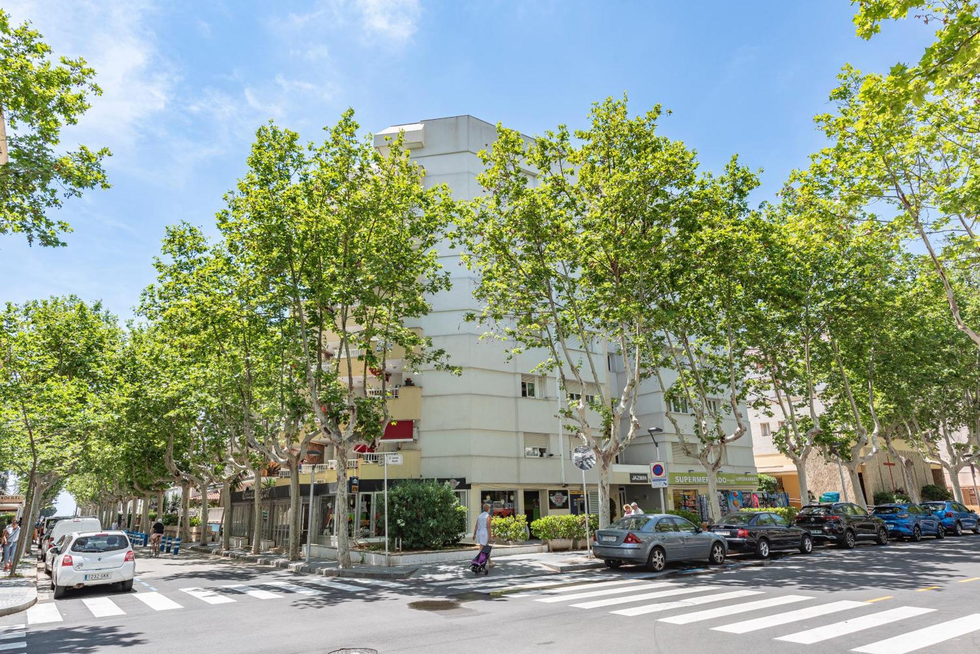Apartament Andavar *